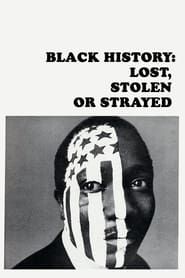 watch Black History: Lost, Stolen or Strayed