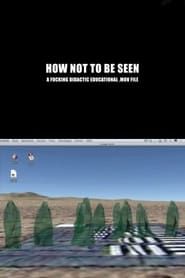 How Not to Be Seen: A Fucking Didactic Educational .MOV File series tv