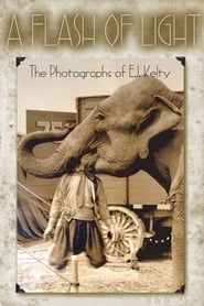 Image A Flash of Light: The Photographs of E.J. Kelty
