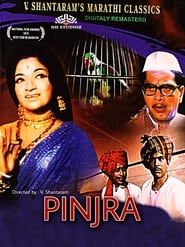 Pinjra series tv