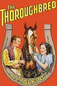 The Thoroughbred series tv