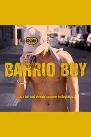 Image Barrio Boy 2014