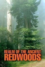 Realm of the Ancient Redwoods series tv