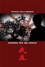 Looking for Mr. Miyagi series tv
