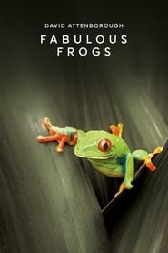 Fabulous Frogs series tv