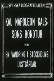 Kal Napoleon Kalsson's Farm Ride (1915)