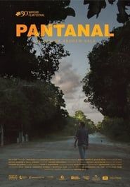 Image Pantanal