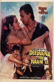 Deewana Tere Naam Ka series tv