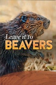 Leave it to Beavers series tv
