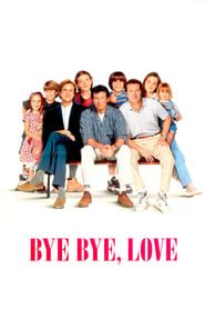 Bye Bye Love series tv
