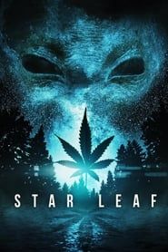 Affiche de Star Leaf