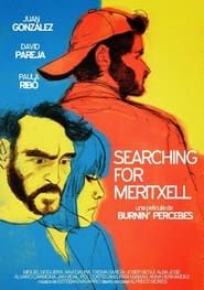 Searching for Meritxell (2014)