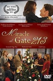 Miracle at Gate 213 series tv