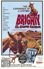 Brighty of the Grand Canyon (1966)