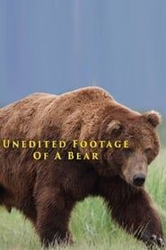 Unedited Footage of a Bear (2014)