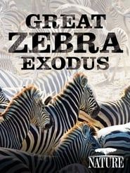 Affiche de Nature: Great Zebra Exodus
