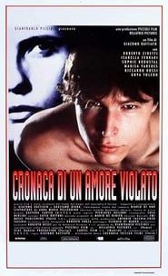 Cronaca di un amore violato (1995)