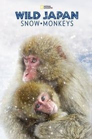 Destination Wild: Les macaques japonais-hd