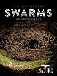 Image Nature: The Gathering Swarms 2014
