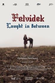 Felvidek – Caught in Between series tv
