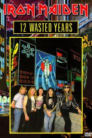Image Iron Maiden: 12 Wasted Years