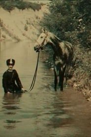 Esercito italiano: Plotone nuotatori di cavalleria (1912)