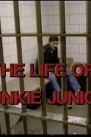 The Story of Junkie Junior series tv