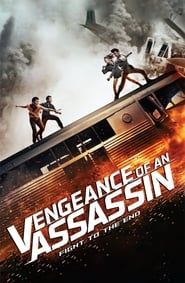 Vengeance of an Assassin series tv