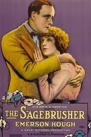 The Sagebrusher (1920)