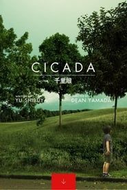 Cicada 2014 streaming