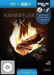 Kaminfeuer 4K 2014 streaming