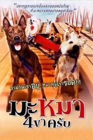 Gang de chiens (2007)