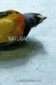 Image Natural History