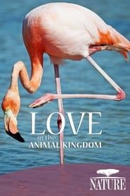 Image Nature: Love in the Animal Kingdom