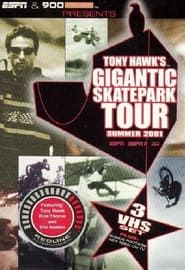 Tony Hawk's Gigantic Skatepark Tour 2001 series tv