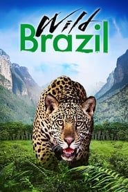 Wild Brazil series tv