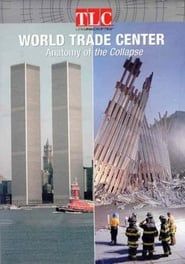 Image World Trade Center: Anatomy of the Collapse 2002