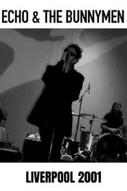 Echo And The Bunnymen: Live in Liverpool series tv