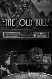 The Old Bull-hd