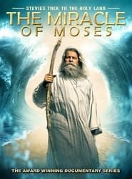 Image Stevie's Trek to the Holy Land: Miracle of Moses