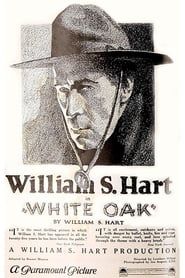 White Oak series tv