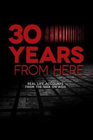 30 Years from Here series tv