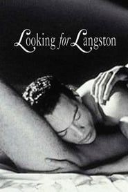 Image Looking for Langston 1989