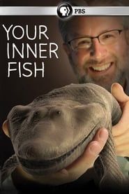 Your Inner Fish series tv