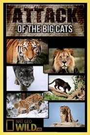 Image Attack of the Big Cats