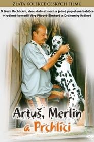 Artuš, Merlin a Prchlíci series tv