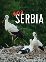 Wild Serbia series tv