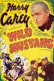 Wild Mustang 1935 streaming