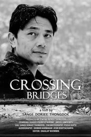 Image Crossing Bridges 2014