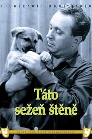 Táto sežeň štěně (1964)